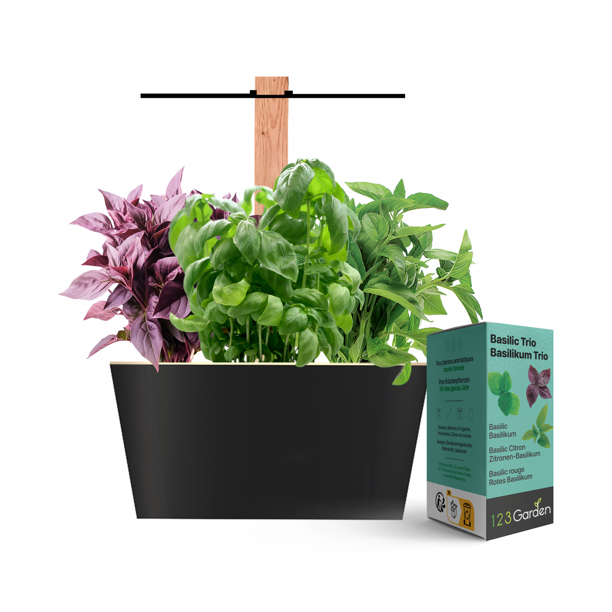 potager d'intérieur avec pack basilic trio inclus