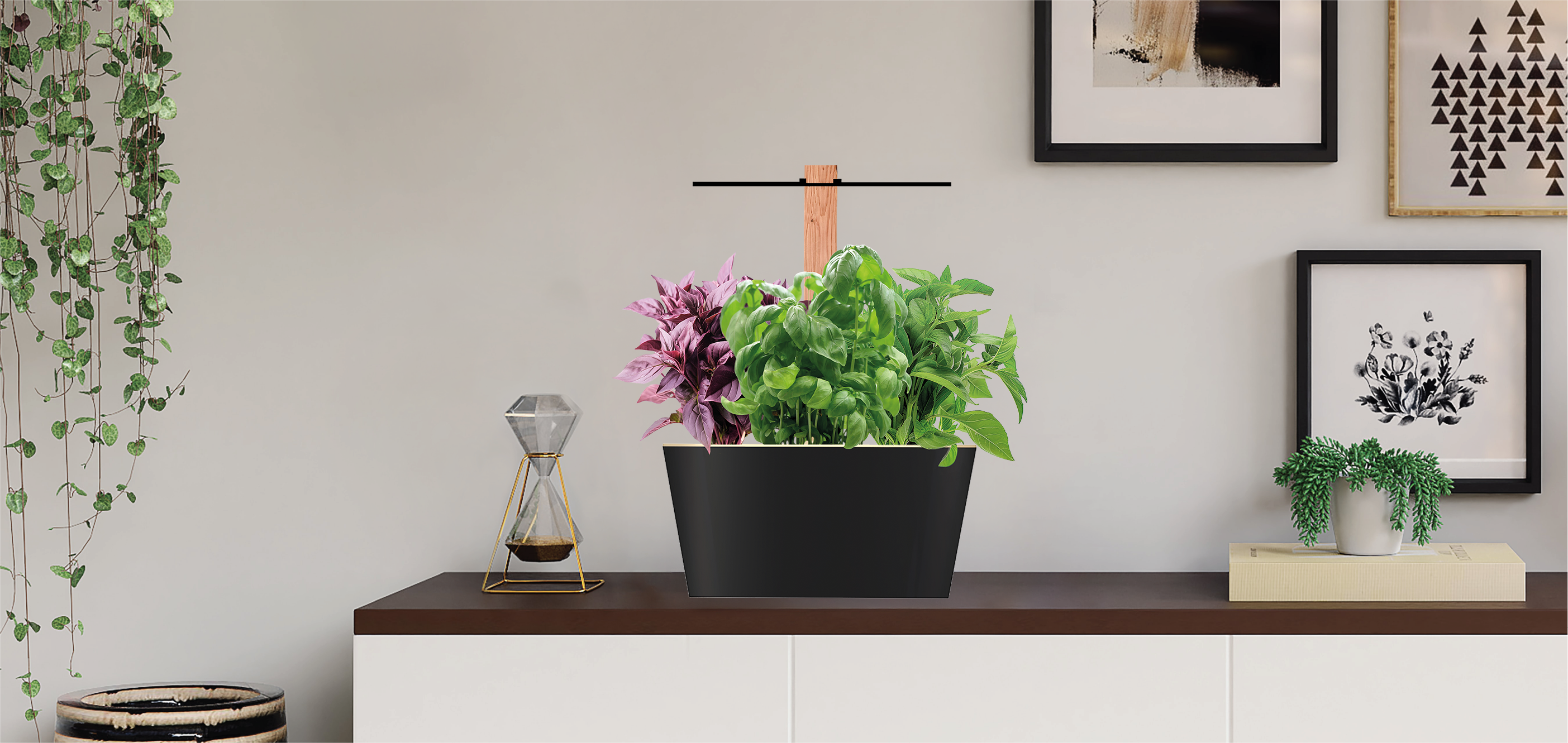 02-potager-photo1 copie